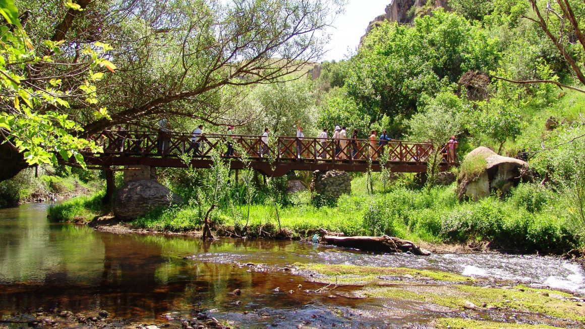 Green Tour Green Tour