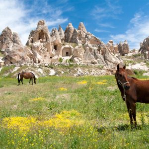 8 Days Tour from Istanbul